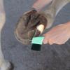 2-in-1 Hoof Pick for Kids view 4