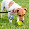 Dog Tennis Ball Holder view 3