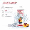 Prosport Allinclusive Peach-Passion Fruit 3 x 1,000 mL Zero Sugar Syrup with Vitamins, 1:50 Beverage Concentrate view 3
