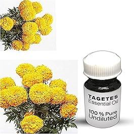Tagetes Essential Oil, 100% Pure and Undiluted, Premium Quality, 25 mL