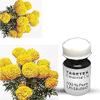 Tagetes Essential Oil, 100% Pure and Undiluted, Premium Quality, 25 mL view 1