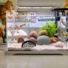 Aquarium Breeding Cave view 2