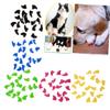 Toddmomy 100-Piece Nail Caps for Cats and Dogs, Colorful Paw Protection Caps view 4