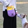 Dog Training Treat Bag with Shoulder Strap view 2