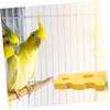 BESPORTBLE Parakeet Perches view 4