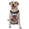 Colorful Dystopian Futurism Dog Harness for Small, Medium, and Large Dogs, Durable, No-Pull, with Reflective Straps and Quick-Release Buckles, Size M view 1