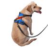 Premium Dog Harness with Congo Flag for Small, Medium, and Large Dogs, Durable No-Pull Design, Reflective Straps, Quick-Release Buckles, Size XL view 3