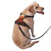 Rich Flowers Premium Dog Harness for Small, Medium, and Large Dogs, Durable, No-Pull, Reflective Straps, Quick-Release Buckles, Size XL view 3