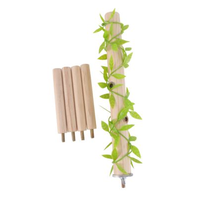 Kisangel Practical Parrot Stand