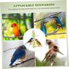 Kisangel Practical Parrot Stand view 4