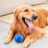 Squeaky Dog Toy Ball view 3