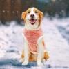 Dgayaeic Plush Dog Vest for Winter view 3