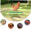 CIYODO Wooden Stand for Chickens and Parrots view 3