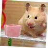 Levemolo 2-Piece Ceramic Food Bowls for Hamsters and Rabbits, Star-Shaped, Smooth, Easy to Clean, Tip-Resistant view 4