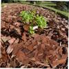 Pine Bark Terrarium Bedding for Reptiles and Small Animals, 1 Bag view 3