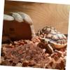 Pine Bark Terrarium Bedding for Reptiles and Small Animals, 1 Bag view 4