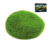 Ungtyb Moss Balls - Decorative Green Stones view 1