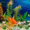 Artificial Moss Balls - Decorative Green Stones view 4