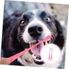SEWOART 2-Pack Dog Toothbrushes for Oral Care view 4