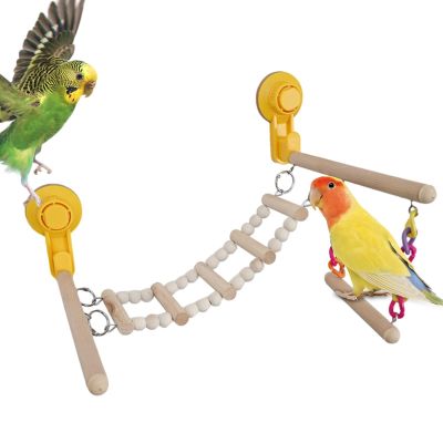 Suction Cup Bird Perch