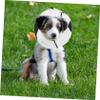 COLLBATH Dog Collar with Removable Elizabethan Protective Neck Collar view 4