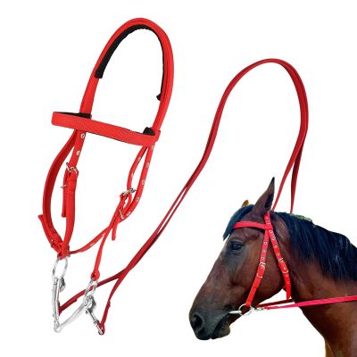 Generic Draft Horse Bridle with Adjustable Snaffle Noseband