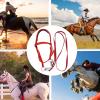 Generic Draft Horse Bridle with Adjustable Snaffle Noseband view 4