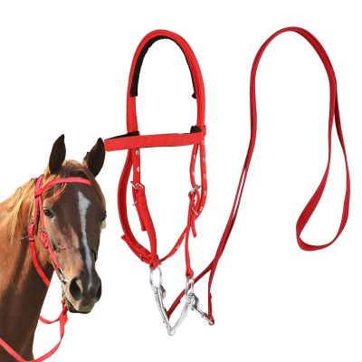 Generic Bridle for Trail Riding Horses, Snaffle