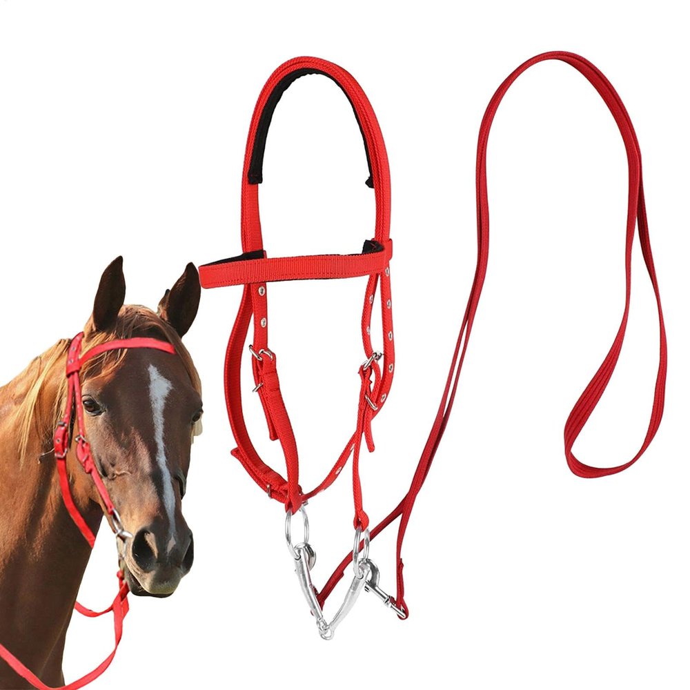 Generic Bridle for Trail Riding Horses, Snaffle