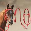 Nylon Horse Bridle with Reins, Braided Rope Design view 3