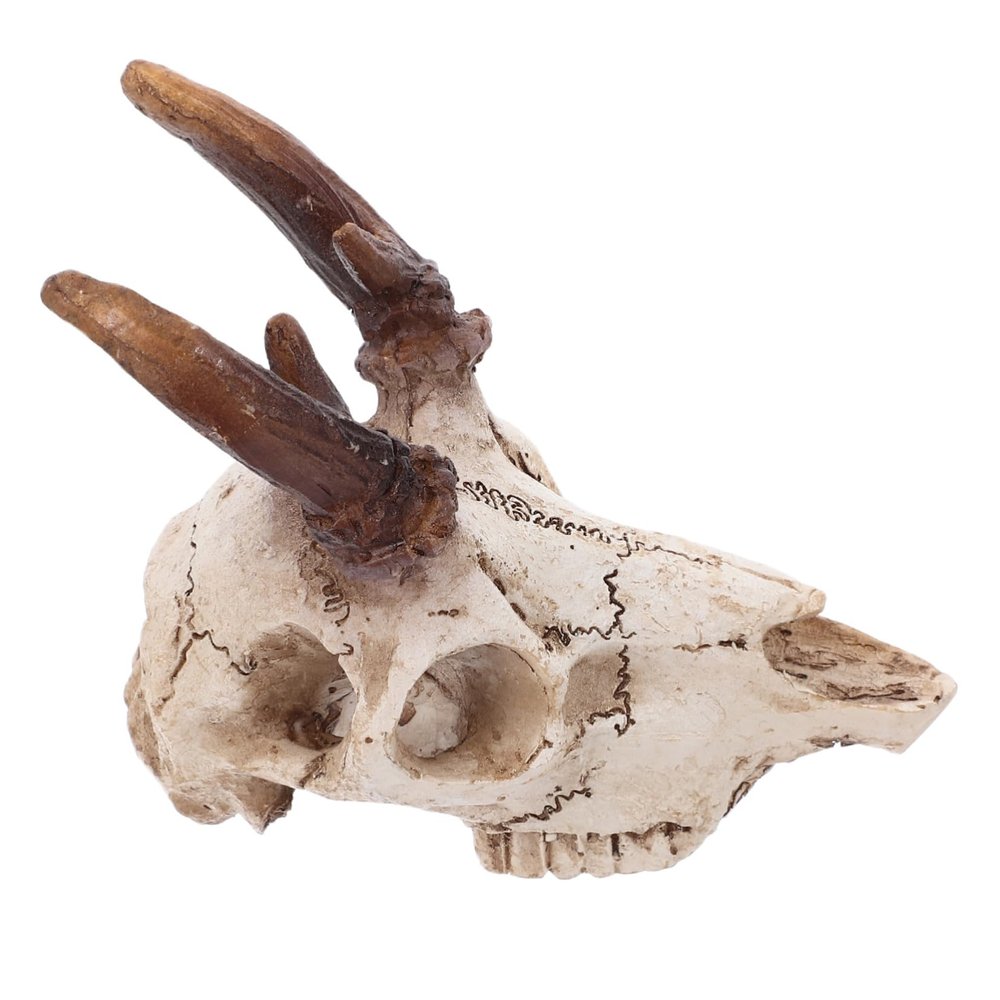Kisangel Artificial Skull Hide for Lizard Terrariums, Bearded Dragons and Geckos