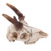 Kisangel Artificial Skull Hide for Lizard Terrariums, Bearded Dragons and Geckos view 1