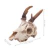 Kisangel Artificial Skull Hide for Lizard Terrariums, Bearded Dragons and Geckos view 2