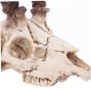 Kisangel Artificial Skull Hide for Lizard Terrariums, Bearded Dragons and Geckos view 3