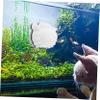 Toddmomy Magnetic Aquarium Brush with Cute Crab Design view 4