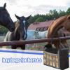 Hay Bag, Portable Feed Container view 2