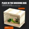 Multifunctional Removable Turtle Feeder and Bunny Water Bowl view 2