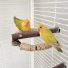 Bird Perch Stand for Parakeets view 2
