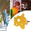 Bird Perch – Comfortable Toy Stand Accessory view 3