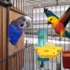 Bird Perch – Comfortable Toy Stand Accessory view 4