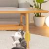 Cat Grooming Brush | Soft Pineapple Cat Massager view 2