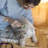 Sxmrmnx Undercoat Brush for Cats view 2