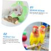 Happyyami Parrot Toy Mirror - Acrylic & Wood Flower Design view 4