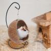 Hamster Hanging Coconut Bed – Natural Small-Animal Hideaway view 2