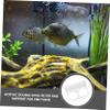 BESPORTBLE Acrylic Aquarium Filter Bag Holder, Double-Hole Design, 95 mm, White view 4