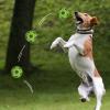 Berriphonia High-Bounce Dog Ball view 2