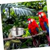 Yardwe Stainless Steel Cockatiel Feeder view 3