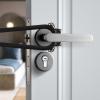 Cat Door Latch view 2