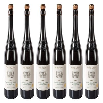 6 x 0.75 L 2025 Villa di Corlo Lambrusco Secco