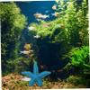BESPORTBLE 2-Piece Sea Star Aquarium Decoration view 4